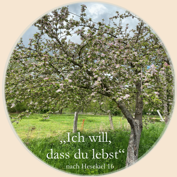 Apfelbaum